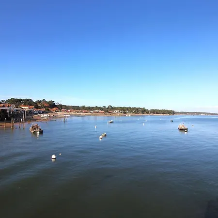 Landaise Lumineuse Avec Jardin, Proche Plages Et Commerces A Piraillan - Fr-1-736-52 Villa Lege-Cap-Ferret